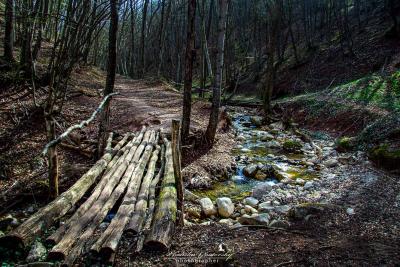 Прикрепленное изображение: IMG_1072м.jpg